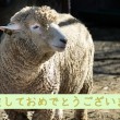 羊さん