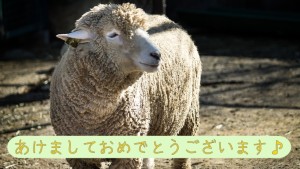 羊さん