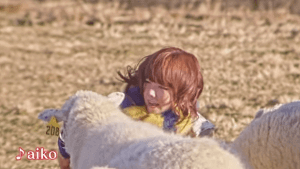 aiko2015年あけおめCMから