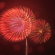 07_花火_フィナーレ2