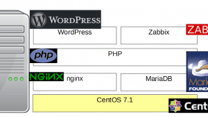 ソフトウェア構成