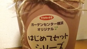 はじめてセットの鉢を横から見たところ