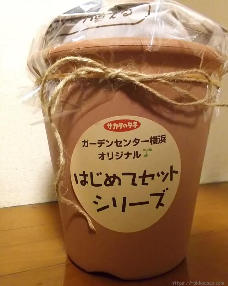 はじめてセットの鉢を横から見たところ