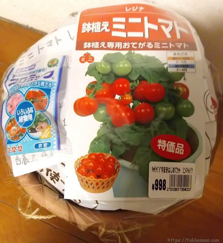 園芸日記 ミニトマトを育て始めました Aikoファンなので品種はやっぱりアイコ Takkaaaaaの日記
