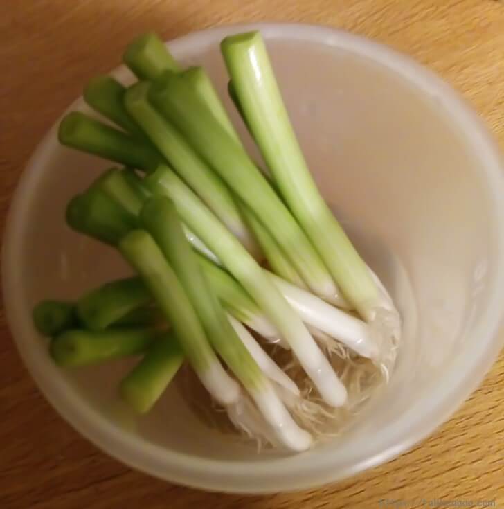 大分の味一ねぎを買いました 食べて応援 育てて応援 Takkaaaaaの日記