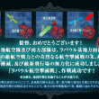 ラバウル勝利画面