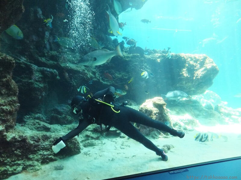 3階_熱帯魚の海5