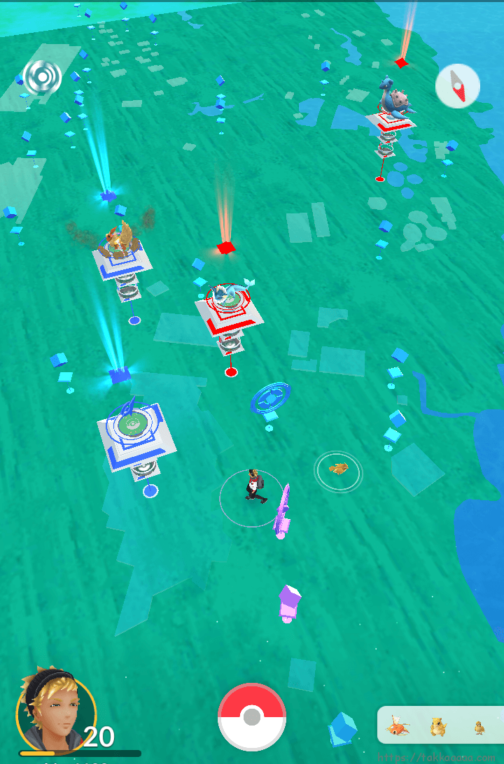 美ら海水族館周辺のポケモン