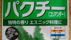 パクチーの種の袋