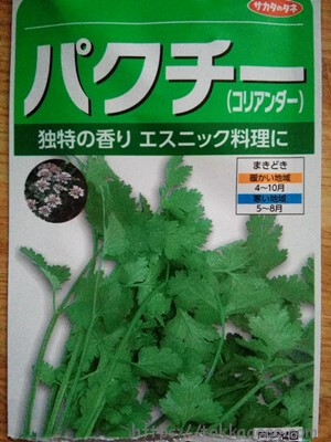 パクチーの種を秋蒔きしました 今度こそ発芽しますように メネデールを使って芽が出 る Takkaaaaaの日記 パクチーの種を秋蒔きしました 今度こそ発芽しますように メネデールを使って芽が出 る Takkaaaaaの日記