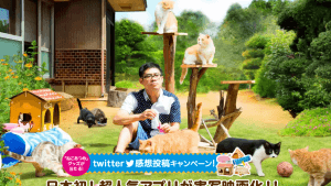 ねこあつめの家