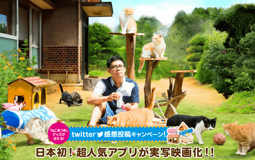 ねこあつめの家