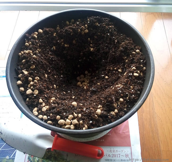 植え替え後の鉢に土を入れたところ