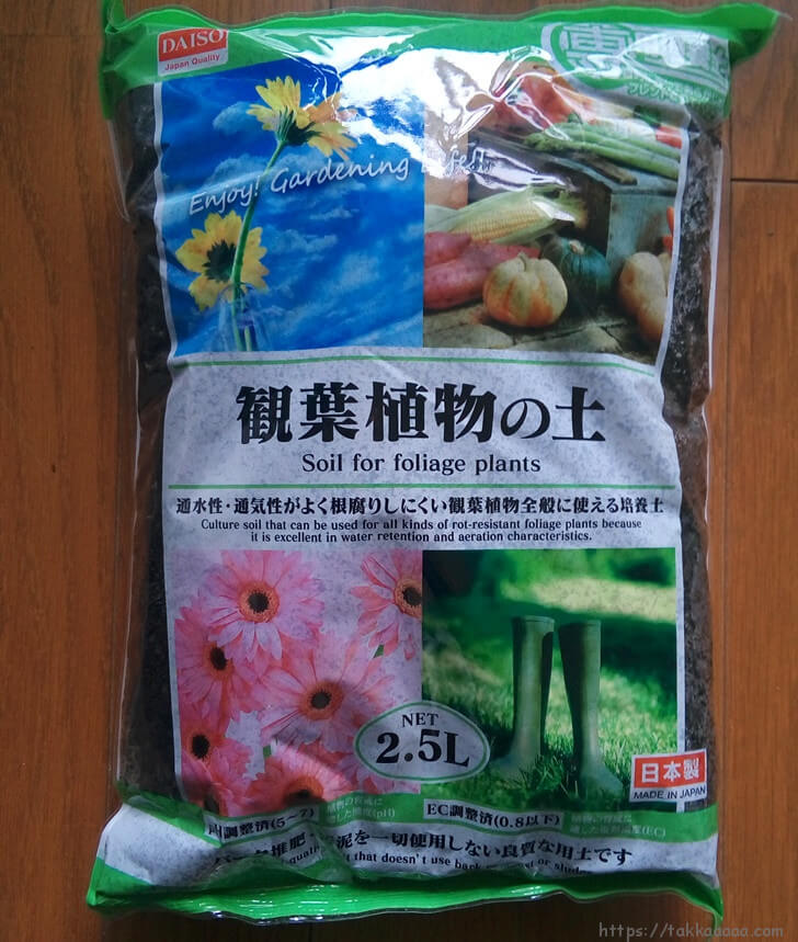 10月だけど観葉植物のガジュマルを植え替えしました 大きな鉢で大きく育ってくれるかな Takkaaaaaの日記