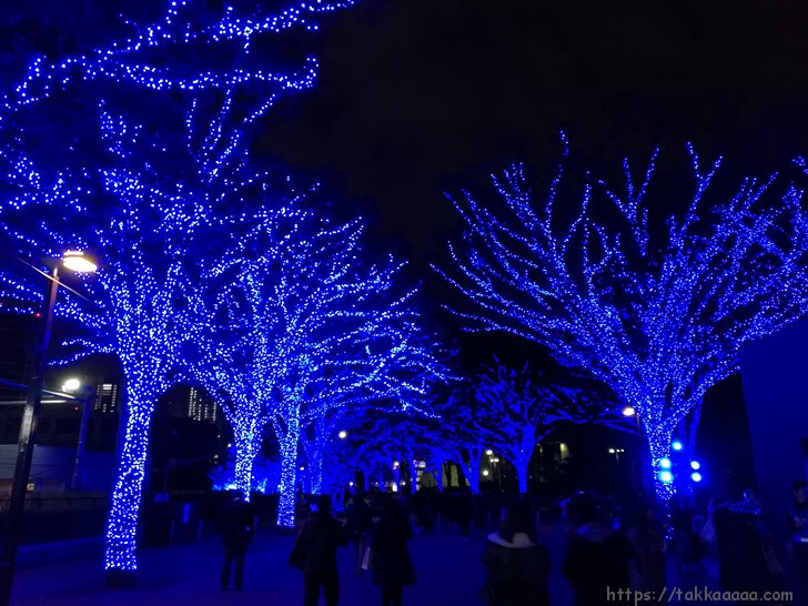 20181130_青の洞窟