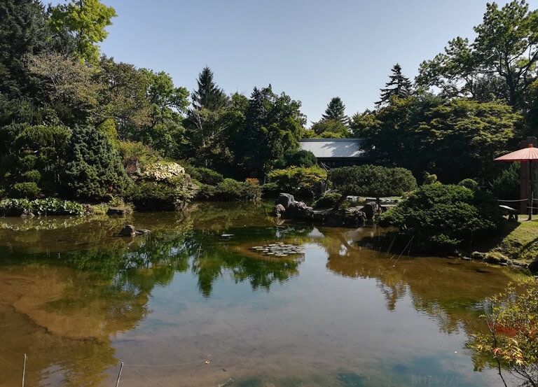 日本庭園の池