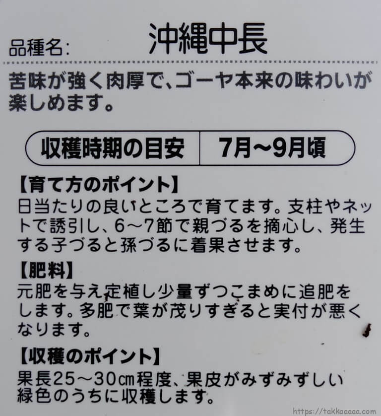 中長ゴーヤ苗ラベル裏