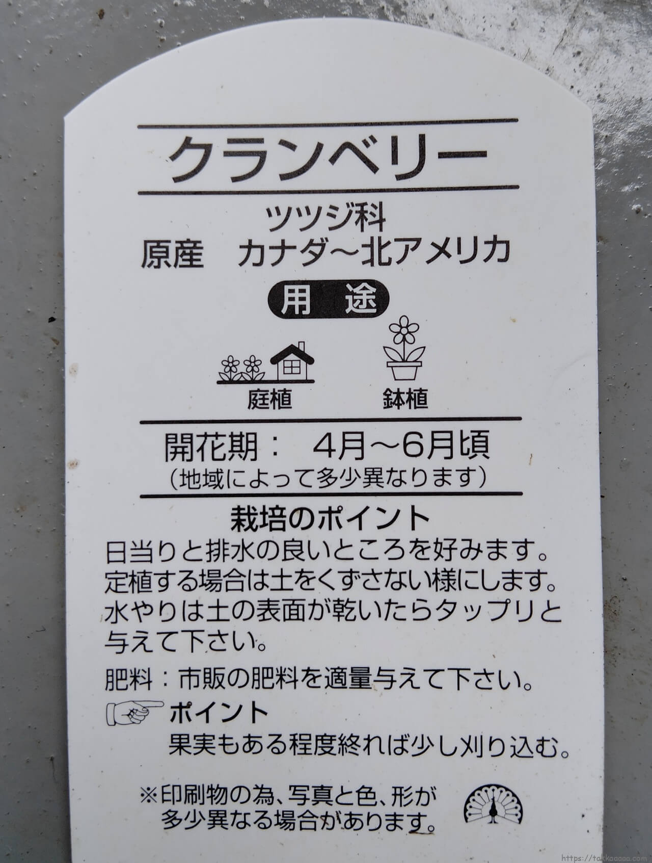 クランベリー苗のラベル