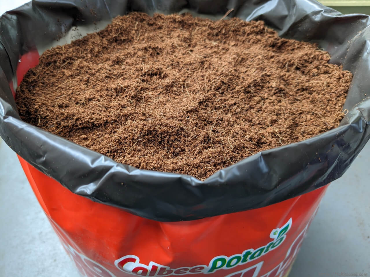 20240217_植え付け後のポテトバッグ