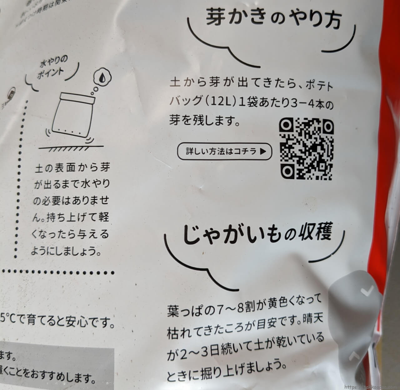 ポテトバッグ裏3